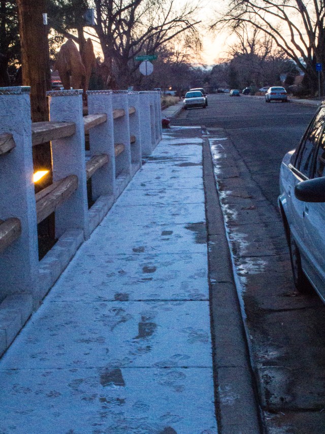 Snowy Walkway