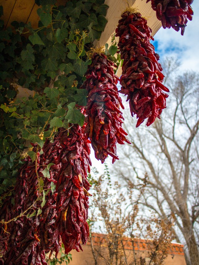 Ristras... Ristras everywhere.