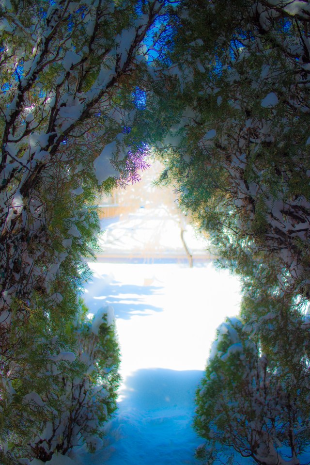 Entrance to a winter wonderland...