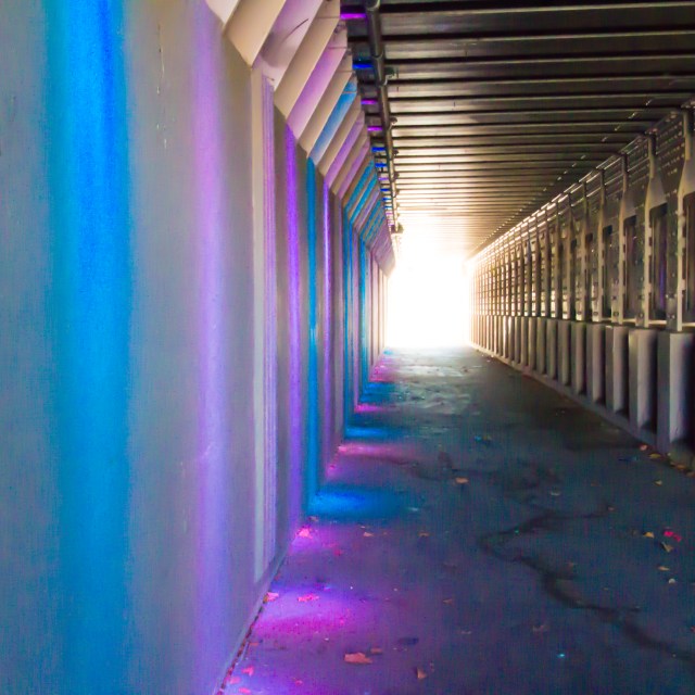 Heading to the Light