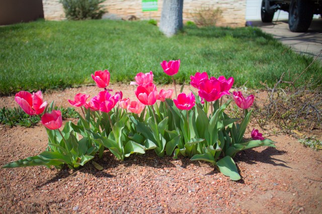 Another kinda rough day, just took a moment out to walk the dog and enjoy the beauty of it all.