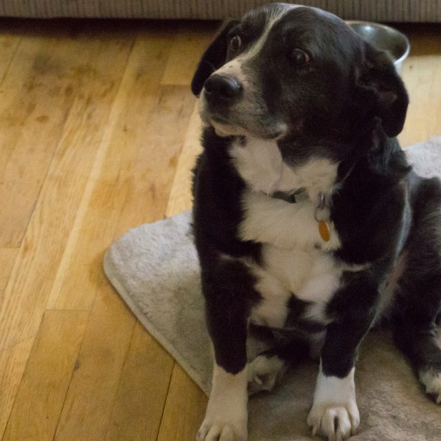 Someone's seen a ghost!